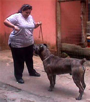 Vânia Breim - Handler de nossos cães