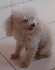 Imagem da Julie, mãe da Tiffy