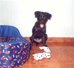 Imagem da Jully