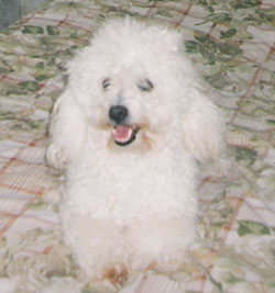 Imagem de Jully