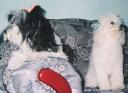 Jully e Layla