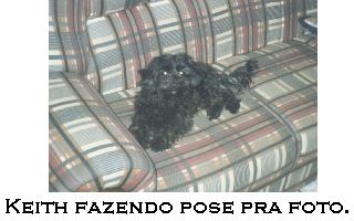 Keith em pose