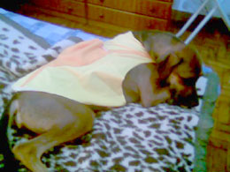 Imagem de Maria Nina