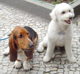Momentos com Mulder