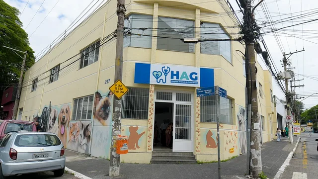 Guarulhos encerra hospitais veterinários gratuitos após 7 meses