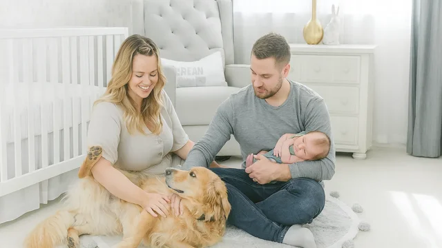 Como preparar pets para a chegada do beb&ecirc;: cuidados essenciais