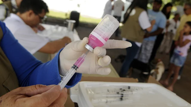 Brasil completa 10 anos sem casos de raiva humana transmitida por c&atilde;es