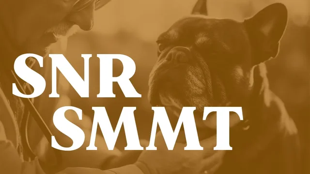 Senior Summit re&uacute;ne especialistas em geriatria veterin&aacute;ria no RJ
