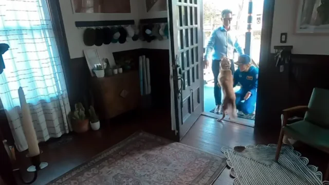 Astronauta Christina Koch reencontra cachorro ap&oacute;s miss&atilde;o Artemis II de 10 dias