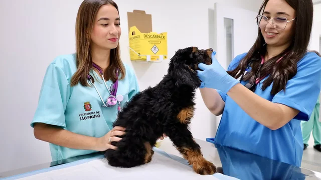 SP entrega 5&ordm; hospital veterin&aacute;rio e dobra atendimentos na rede
